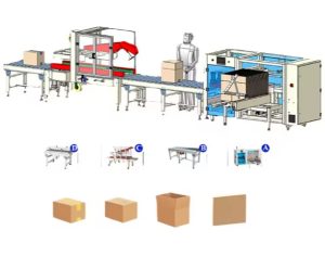 LINEBOX-03 Box packaging Line best